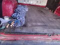1991 Fiat Professional Ducato, красный, 180000 рублей - вид 6