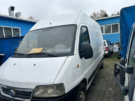 2005 Fiat Professional Ducato, белый, 710000 рублей, вид 3