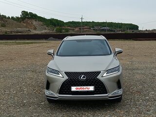 2020 Lexus RX 300 IV Рестайлинг, коричневый, 5700000 рублей, вид 1