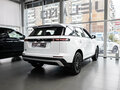 2026 Jeland J6, белый - вид 9