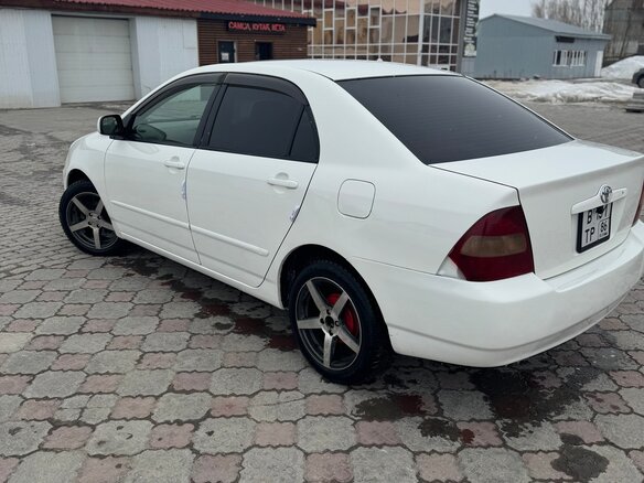 2002 Toyota Corolla IX (E120, E130), белый, 385000 рублей - вид 3