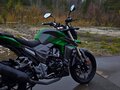 2024 Regulmoto T-Leopard 300, зелёный, 180000 рублей - вид 1