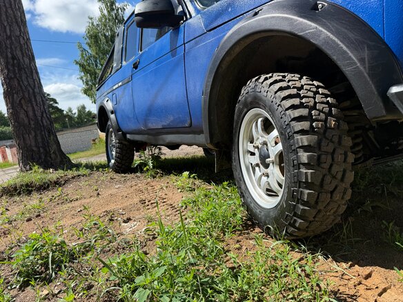 2001 Lada (ВАЗ) 2329, голубой, 638000 рублей - вид 3