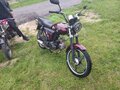 2014 Racer Alpha, красный, 35000 рублей - вид 2