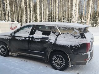 2021 Hyundai Palisade I, коричневый, 5500000 рублей, вид 4