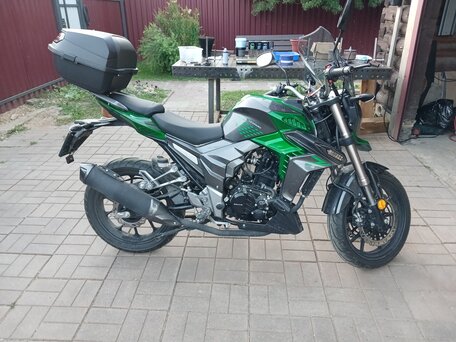 2022 Regulmoto T-Leopard 300, зелёный, 197000 рублей, вид 3