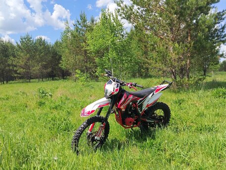 2024 Progasi Super Max 250, белый, 129000 рублей, вид 4
