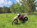 2024 Progasi Super Max 250, белый, 129000 рублей - вид 3