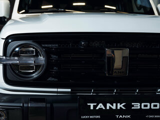 2026 Tank 300 I, белый, 5249000 рублей, вид 2