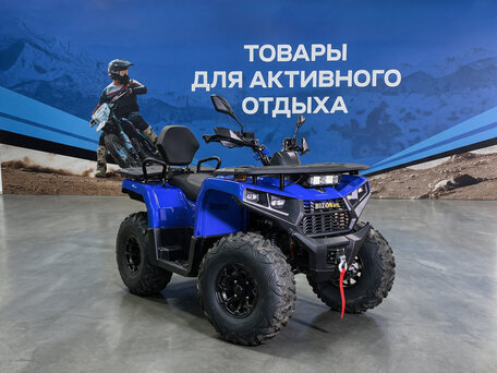 2026 Bizon YK250 LUX EFI, синий, 279700 рублей, вид 1