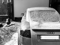 2003 Audi TT I (8N) Рестайлинг, серый, 950000 рублей - вид 4