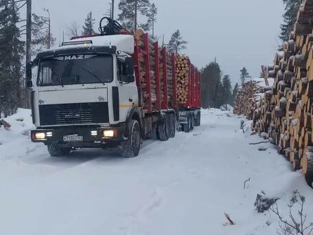 2017 МАЗ 6303, белый, 3900000 рублей, вид 1