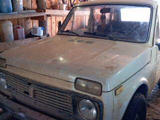 1993 Lada (ВАЗ) 2121 (4x4) I, белый, 150000 рублей, вид 4