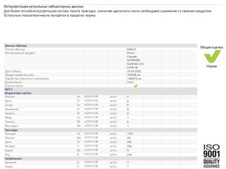 2017 Skoda Rapid I, серебристый, 1290001 рублей, вид 4