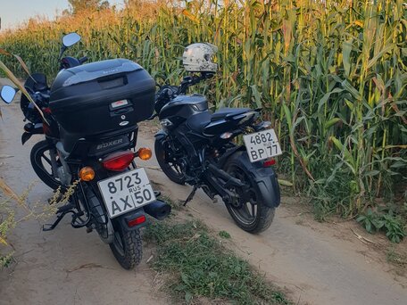 2019 Bajaj Boxer BM 125, чёрный, 110000 рублей, вид 3
