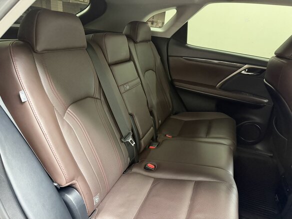 2020 Lexus RX 300 IV Рестайлинг, синий, 4892000 рублей - вид 13