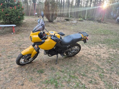 2000 Triumph Tiger 955i, жёлтый, 300000 рублей, вид 5