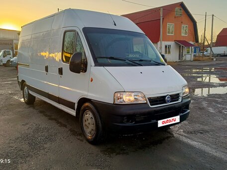 2010 Fiat Professional Ducato, белый, 725000 рублей, вид 3
