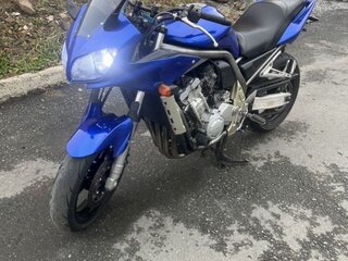 2002 Yamaha FZS1000 Fazer, синий, 350000 рублей, вид 2
