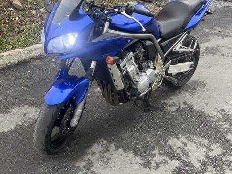 2002 Yamaha FZS1000 Fazer, синий, 350000 рублей, вид 2