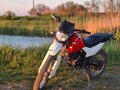 2014 Irbis XR 250, оранжевый, 80000 рублей - вид 5