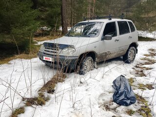 2004 Chevrolet Niva I, серый, 225000 рублей, вид 4