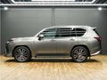 2024 Lexus LX 600 IV, коричневый - вид 8