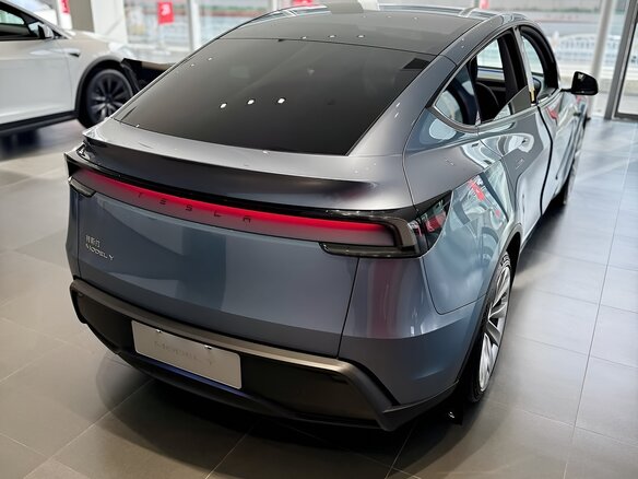 2025 Tesla Model Y Standard I Рестайлинг, серебристый - вид 5