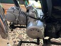2021 Racer Alpha, чёрный, 25000 рублей