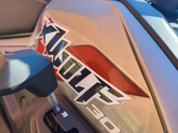 2026 Loncin XWolf 300 Max, серый, 485000 рублей - вид 13