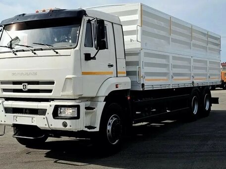 2024 КамАЗ 65117, белый, 7300000 рублей, вид 2