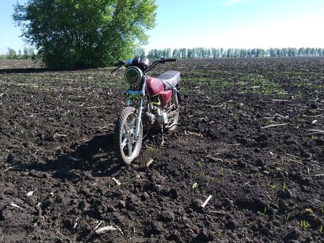 2007 Мотоальфа A1, пурпурный, 35000 рублей, вид 4