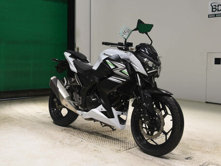 2014 Kawasaki Z 250, белый, 400000 рублей, вид 5