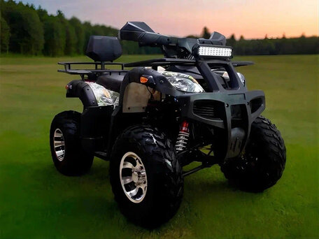 2025 Другие ATV (другие), чёрный, 116000 рублей, вид 1