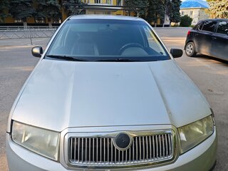 2004 Skoda Fabia I Рестайлинг, серебристый, 165000 рублей, вид 1