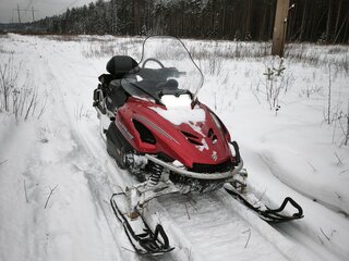 2007 Yamaha VK Professional, красный, 900000 рублей, вид 3