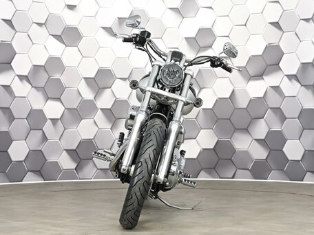 2009 Harley-Davidson Dyna Low Rider, серебристый, 727000 рублей, вид 5