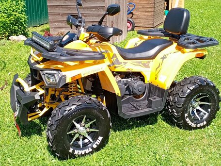 2024 Motoland Wild Track 200 X Pro, жёлтый, 220000 рублей, вид 3