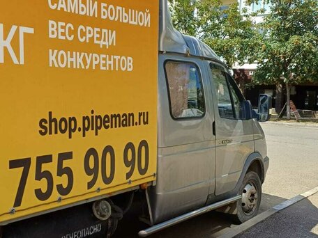 2008 ГАЗ ГАЗель (33023/330273) Фермер, серебристый, 900000 рублей, вид 5