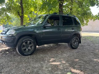 2007 Chevrolet Niva I, серый, 450000 рублей, вид 4