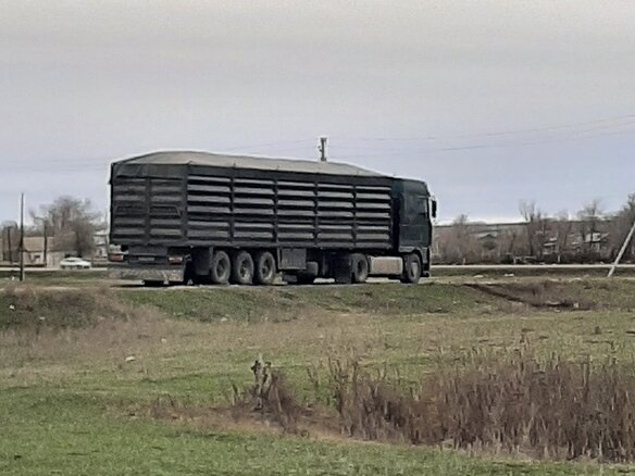 2002 DAF 95XF, зелёный, 2100000 рублей - вид 12