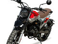 2024 Fuego Rambolor 250, красный, 159900 рублей - вид 2