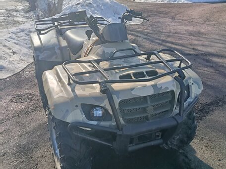 2007 Suzuki EIGER, зелёный, 290000 рублей, вид 2