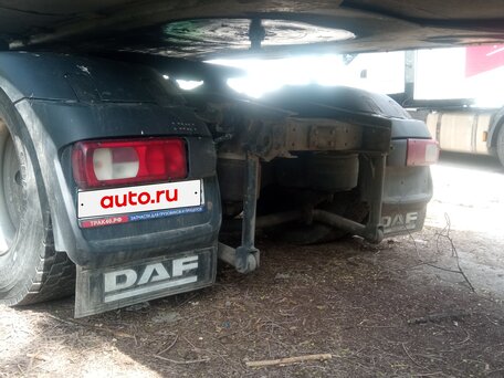 2003 DAF 95XF, серый, 1670000 рублей, вид 4