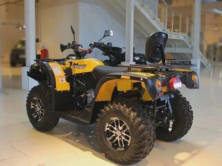 2025 Stels ATV-600YL Леопард, жёлтый, 641000 рублей, вид 4