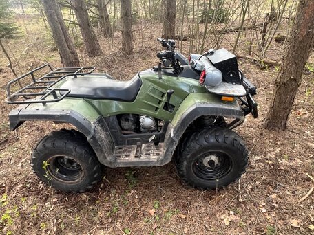 2007 Stels ATV-300, зелёный, 260000 рублей, вид 3
