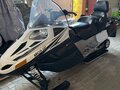 2009 Arctic Cat TZ1, белый, 950000 рублей - вид 1