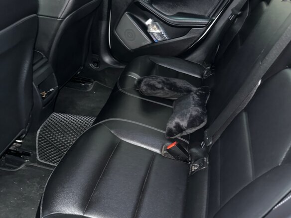 2017 Mercedes-Benz GLA 250 I (X156) Рестайлинг, белый, 2100000 рублей - вид 16