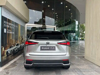 2021 Lexus NX 200 I Рестайлинг, серый, 2659000 рублей, вид 4