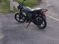 2025 Racer Alpha, серый, 65000 рублей - вид 2